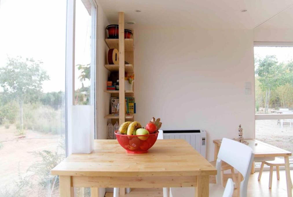 Eco Tiny Home & Office For Digital Nomads Vallmoll Dış mekan fotoğraf