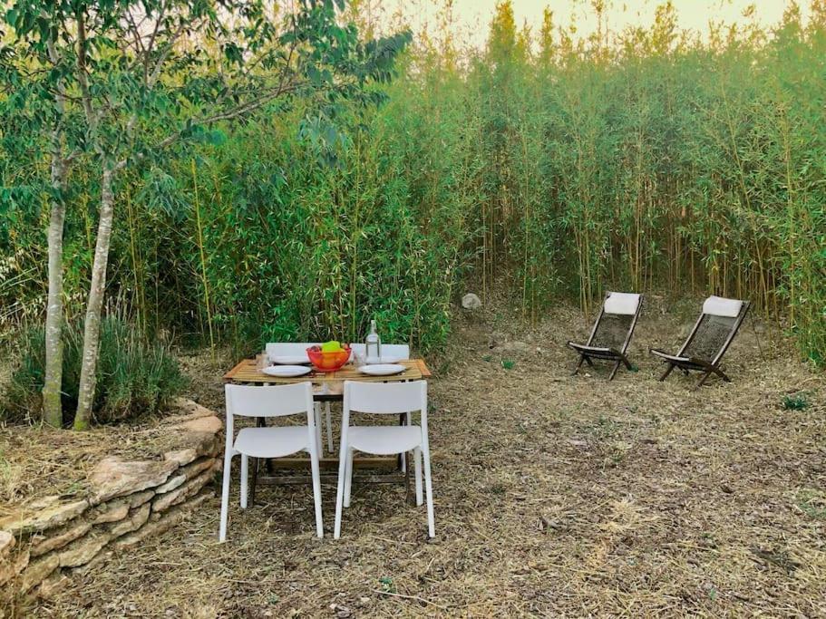 Eco Tiny Home & Office For Digital Nomads Vallmoll Dış mekan fotoğraf