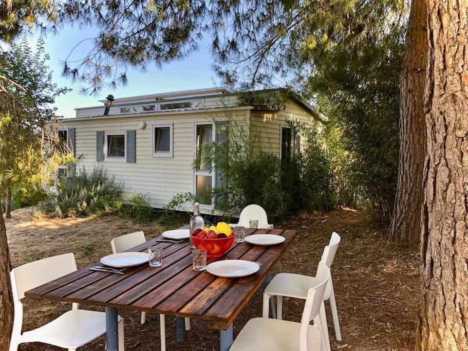 Eco Tiny Home & Office For Digital Nomads Vallmoll Dış mekan fotoğraf