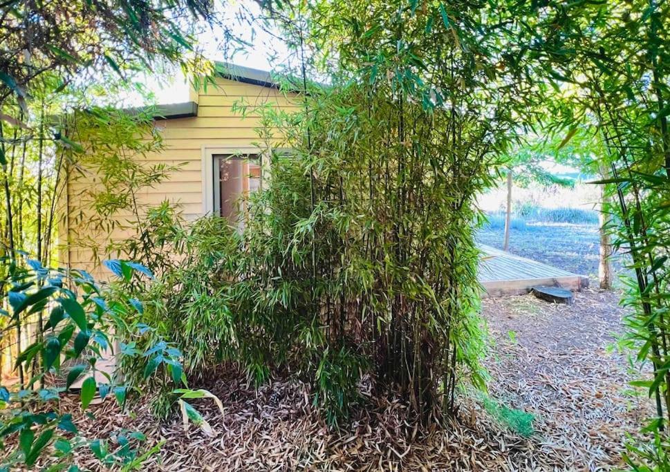 Eco Tiny Home & Office For Digital Nomads Vallmoll Dış mekan fotoğraf